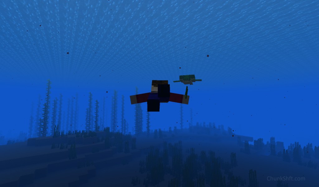 Player swimming under water in 3rd person view towards sea turtle.